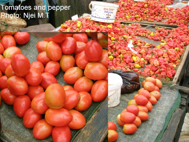 Tomatoes and Pepper (photo: Njei M.T)